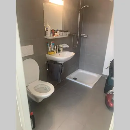 Modern & Private Furnished Studio/work Station شقة Le Mont-Sur-Lausanne